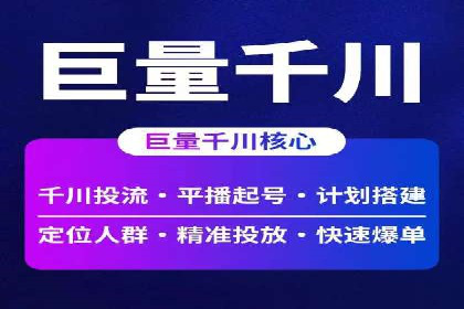 百度SEO推广公司案例精选：助力企业快速崛起